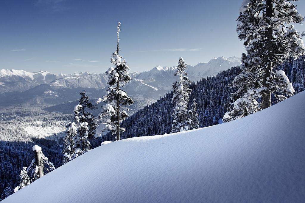 Laax Rancho Studio Apartment Zimmer foto